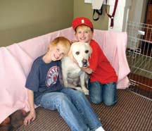 Puppy love: Carter and Keegan Chard, 10, are glad their yellow lab Charlie is on the road to recovery.